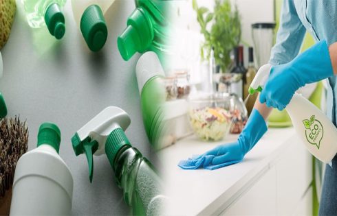Eco-friendly Professional Cleaning Services for Sustainable Homes