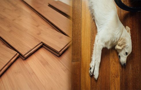 Exploring Highly Durable Engineered Bamboo Flooring for Pet-Friendly Homes